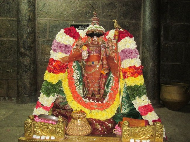 Thiruvahindrapuram Sri Devanathan Perumal Temple Kaisika Ekadasi Purappadu3