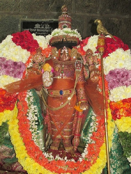Thiruvahindrapuram Sri Devanathan Perumal Temple Kaisika Ekadasi Purappadu4