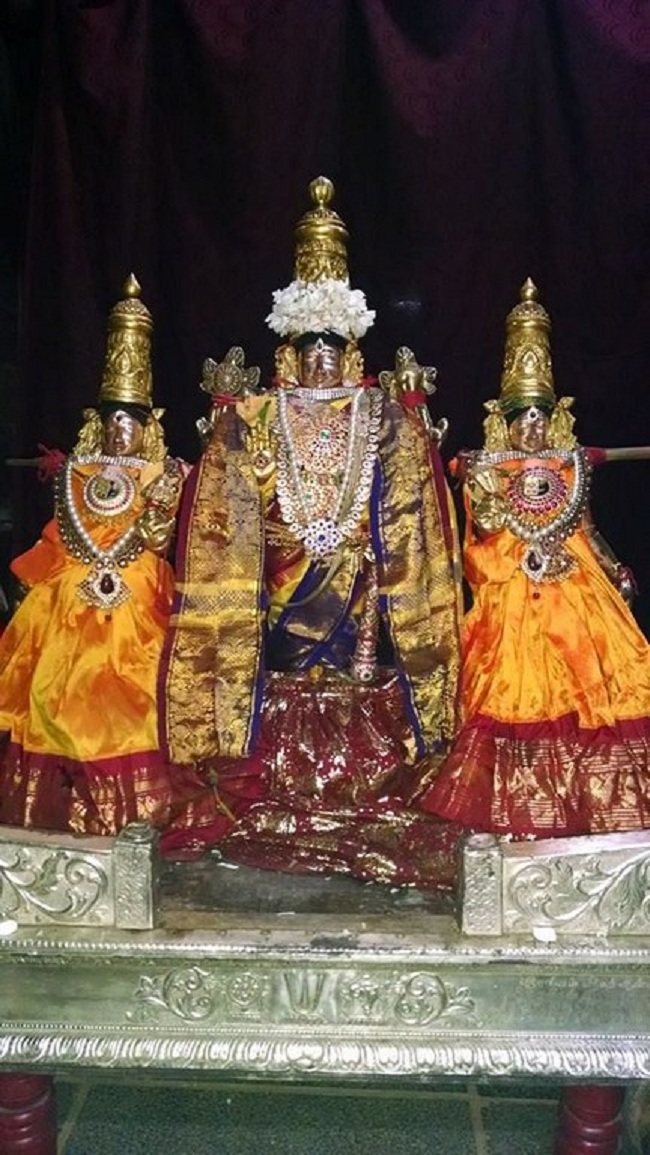 Thiruvahindrapuram Sri Devanathan Perumal Temple Margazhi Masa Pirappu Purappadu1