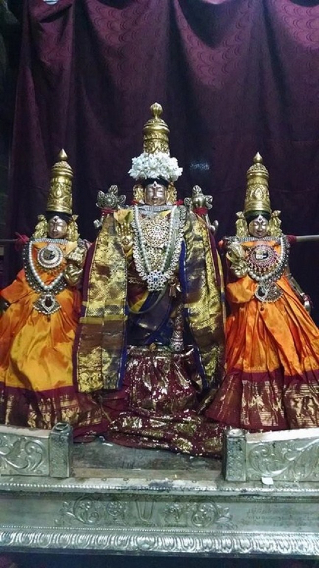 Thiruvahindrapuram Sri Devanathan Perumal Temple Margazhi Masa Pirappu Purappadu2