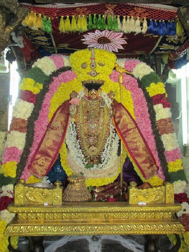 Thiruvahindrapuram Sri Devanathan Perumal Temple Pagal Pathu Utsavam Commences11
