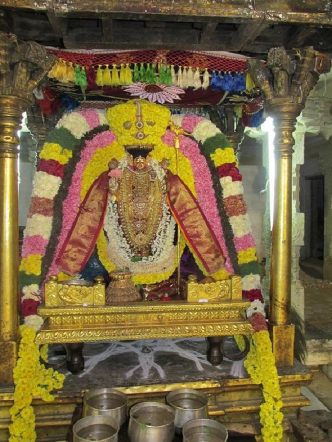 Thiruvahindrapuram Sri Devanathan Perumal Temple Pagal Pathu Utsavam Commences13