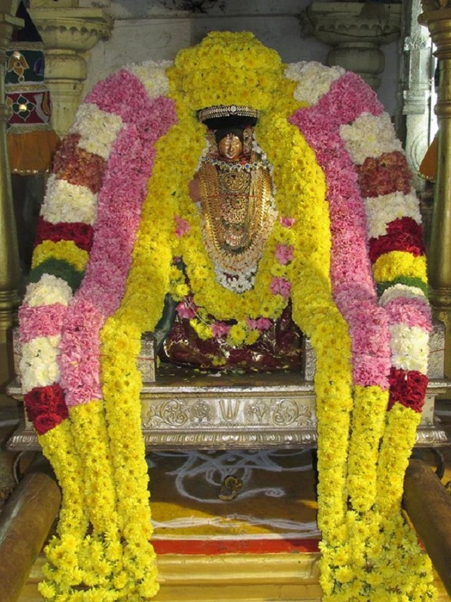 Thiruvahindrapuram Sri Devanathan Perumal Temple Pagal Pathu Utsavam Commences17