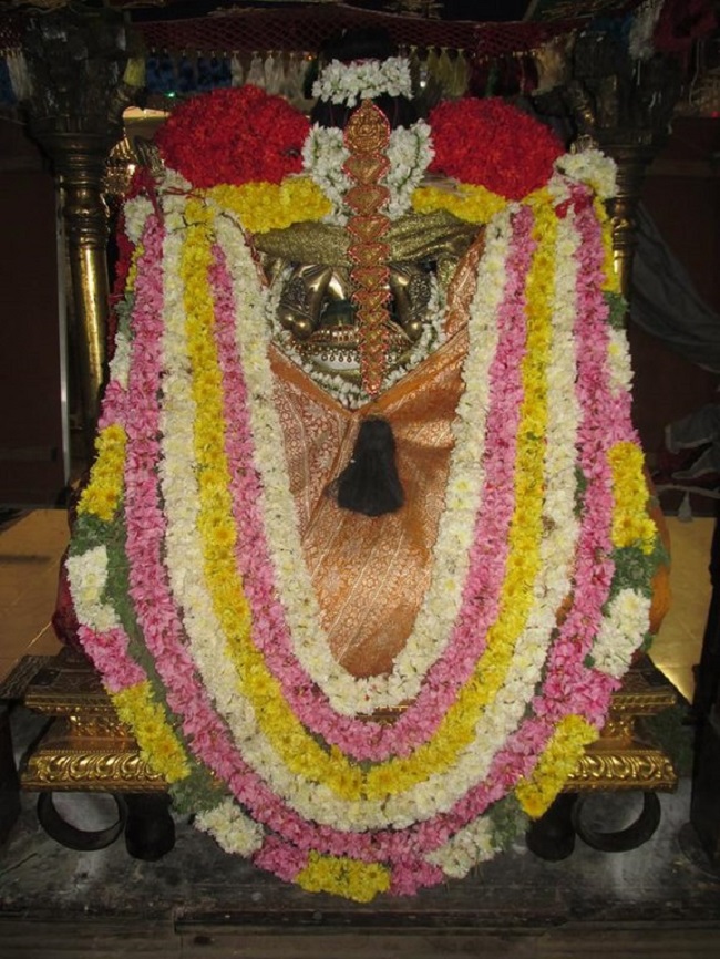 Thiruvahindrapuram Sri Devanathan Perumal Temple Pagal Pathu Utsavam10