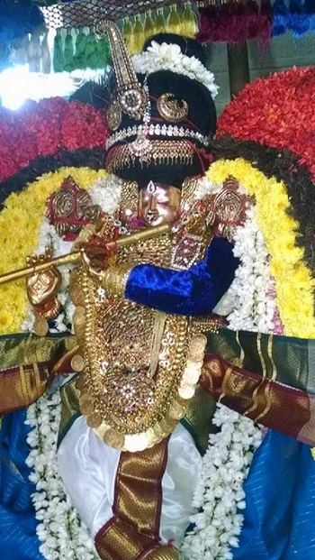 Thiruvahindrapuram Sri Devanathan Perumal Temple Pagal Pathu Utsavam11