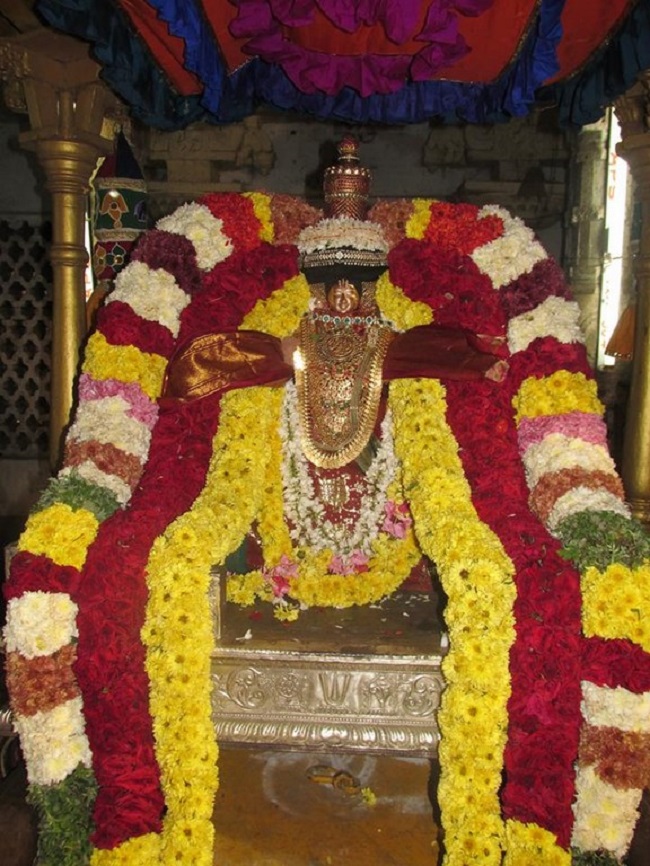 Thiruvahindrapuram Sri Devanathan Perumal Temple Pagal Pathu Utsavam11