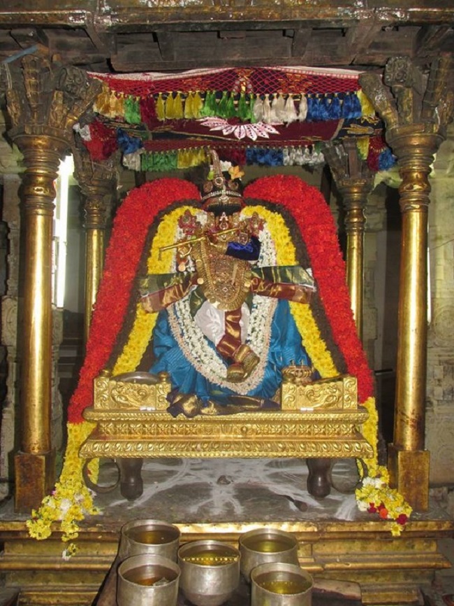 Thiruvahindrapuram Sri Devanathan Perumal Temple Pagal Pathu Utsavam12
