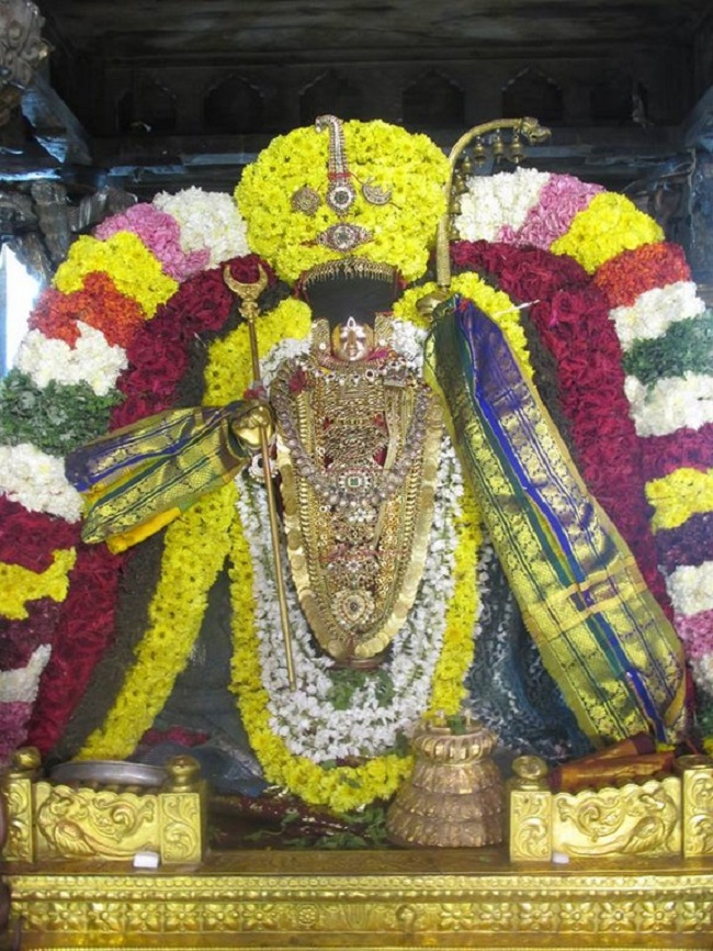 Thiruvahindrapuram Sri Devanathan Perumal Temple Pagal Pathu Utsavam14