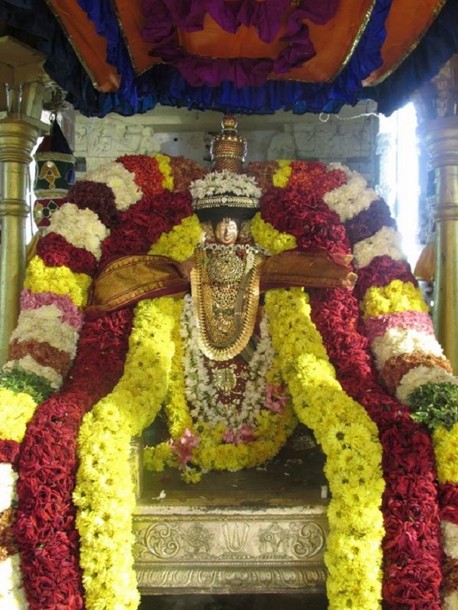 Thiruvahindrapuram Sri Devanathan Perumal Temple Pagal Pathu Utsavam15