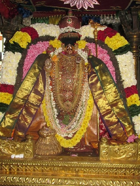 Thiruvahindrapuram Sri Devanathan Perumal Temple Pagal Pathu Utsavam2
