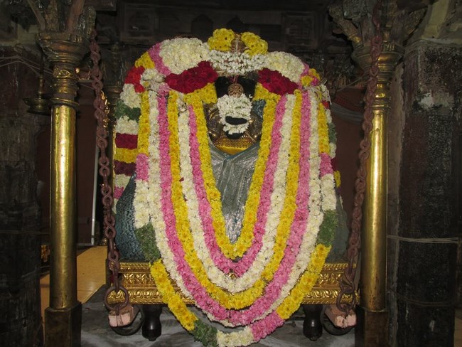 Thiruvahindrapuram Sri Devanathan Perumal Temple Pagal Pathu Utsavam3