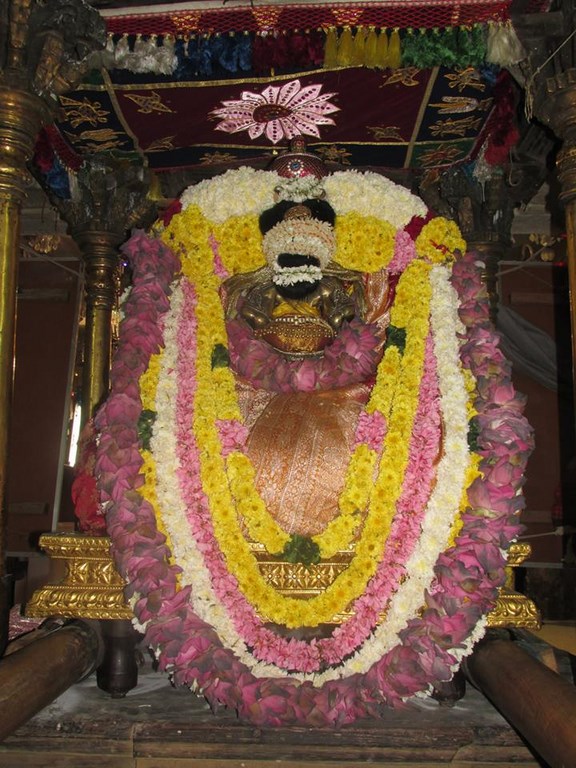 Thiruvahindrapuram Sri Devanathan Perumal Temple Pagal Pathu Utsavam4