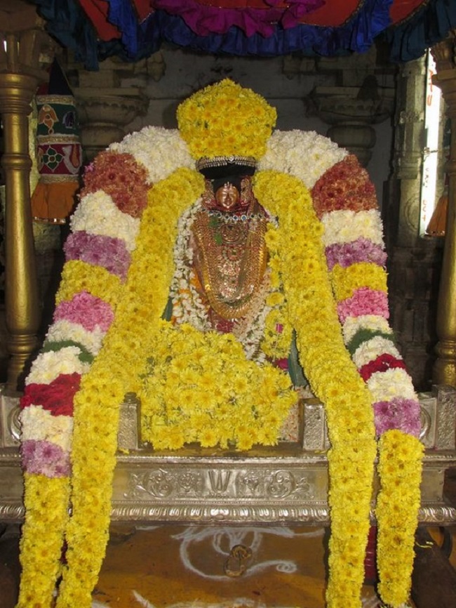 Thiruvahindrapuram Sri Devanathan Perumal Temple Pagal Pathu Utsavam5