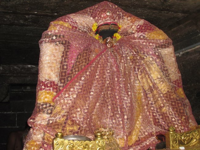 Thiruvahindrapuram Sri Devanathan Perumal Temple Pagal Pathu Utsavam6