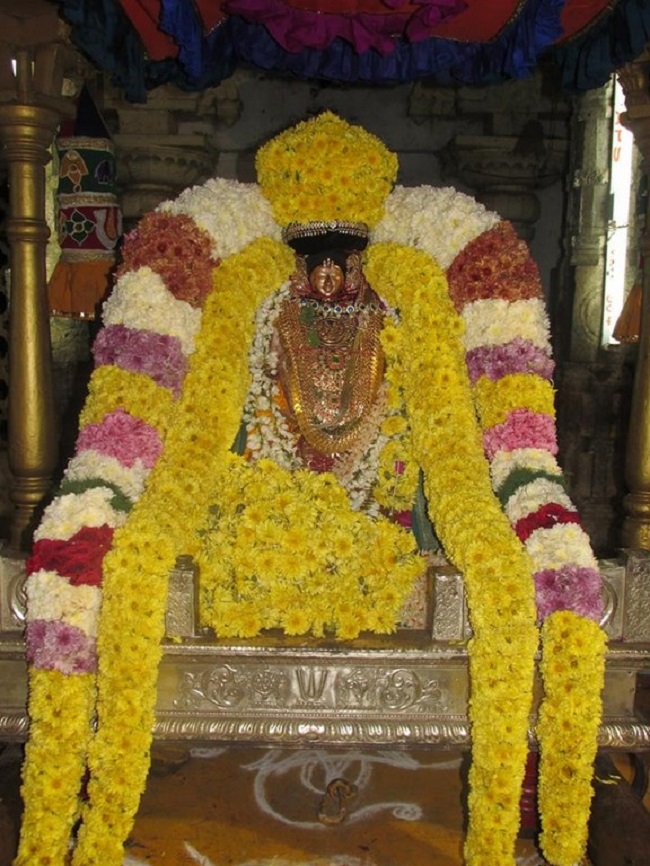 Thiruvahindrapuram Sri Devanathan Perumal Temple Pagal Pathu Utsavam7