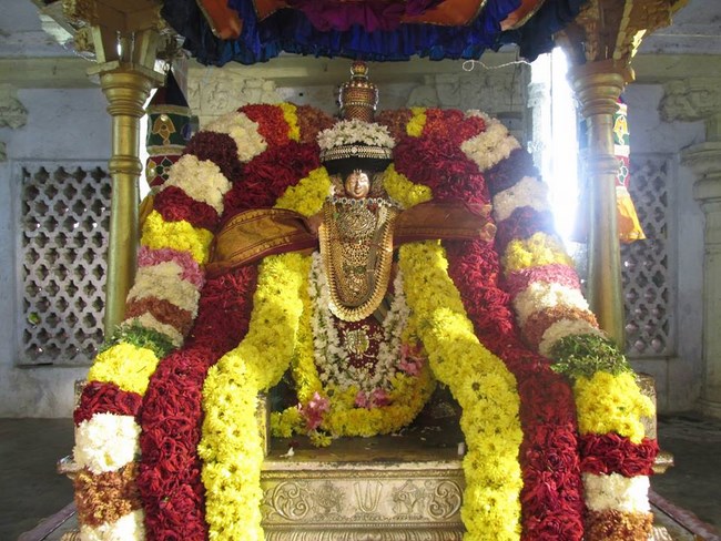 Thiruvahindrapuram Sri Devanathan Perumal Temple Pagal Pathu Utsavam8