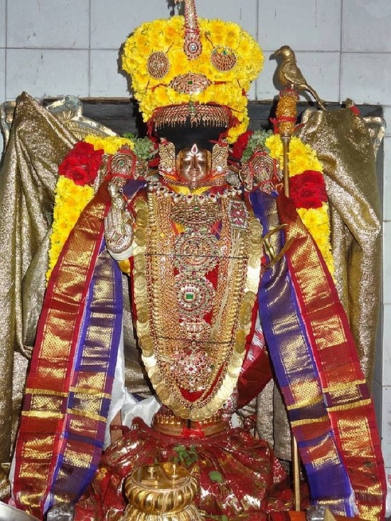 Thiruvahindrapuram Sri Devanathan Perumal Temple Thirumangai Azhwar Thirunakshatra Utsavam17