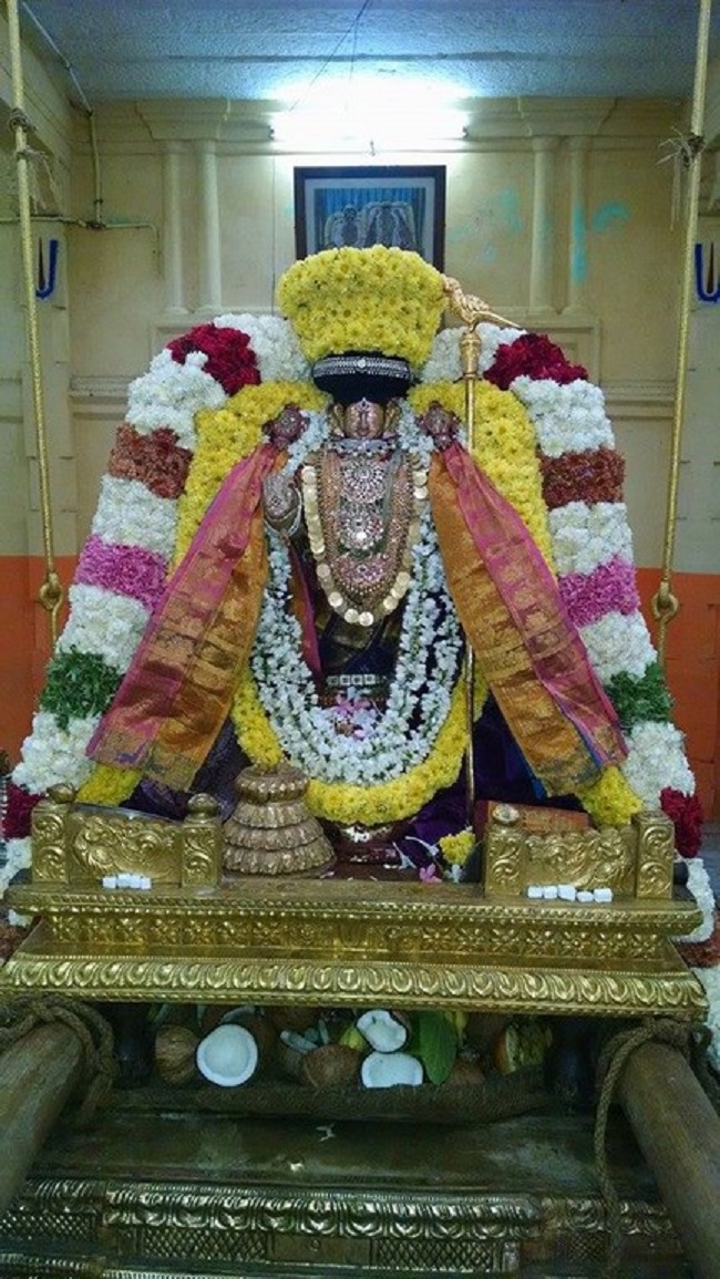 Thiruvahindrapuram Sri Devanathan Perumal Temple Thondaradipodi Azhwar Thirunakshatra Utsavam1