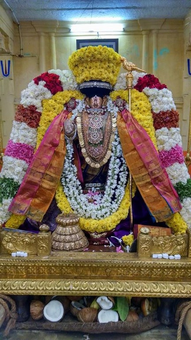Thiruvahindrapuram Sri Devanathan Perumal Temple Thondaradipodi Azhwar Thirunakshatra Utsavam2