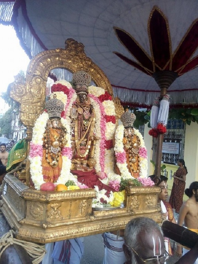 Thiruvallikeni Sri Parthasarathy Perumal Temple Kaisika Dwadasi Purappadu2