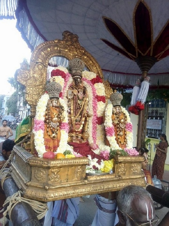 Thiruvallikeni Sri Parthasarathy Perumal Temple Kaisika Dwadasi Purappadu7