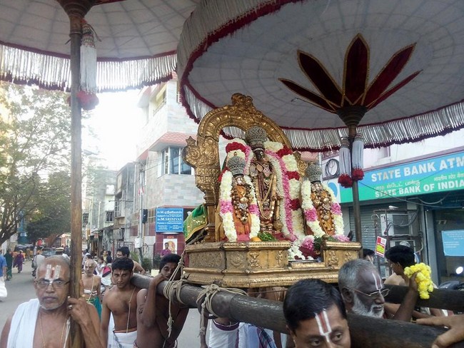 Thiruvallikeni Sri Parthasarathy Perumal Temple Kaisika Dwadasi Purappadu8