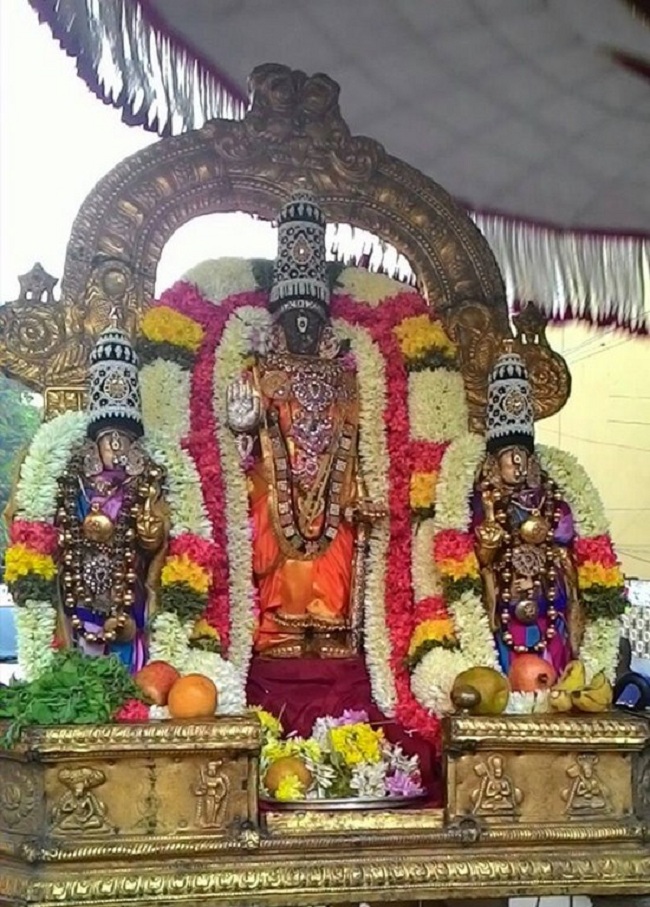 Thiruvallikeni Sri Parthasarathy Perumal Temple Thirumangai Azhwar Thirunakshatra Utsavam3