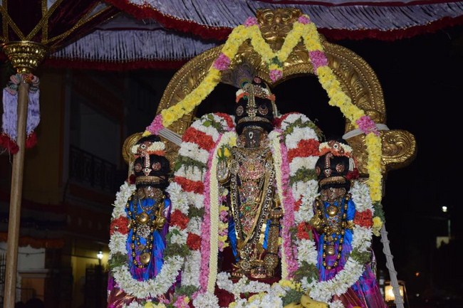 Thiruvallikeni Sri Parthasarathy Perumal Temple Thirupaanazhwar Thirunakshatram And Thirukarthikai Utsavam19