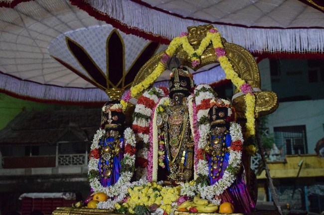 Thiruvallikeni Sri Parthasarathy Perumal Temple Thirupaanazhwar Thirunakshatram And Thirukarthikai Utsavam20