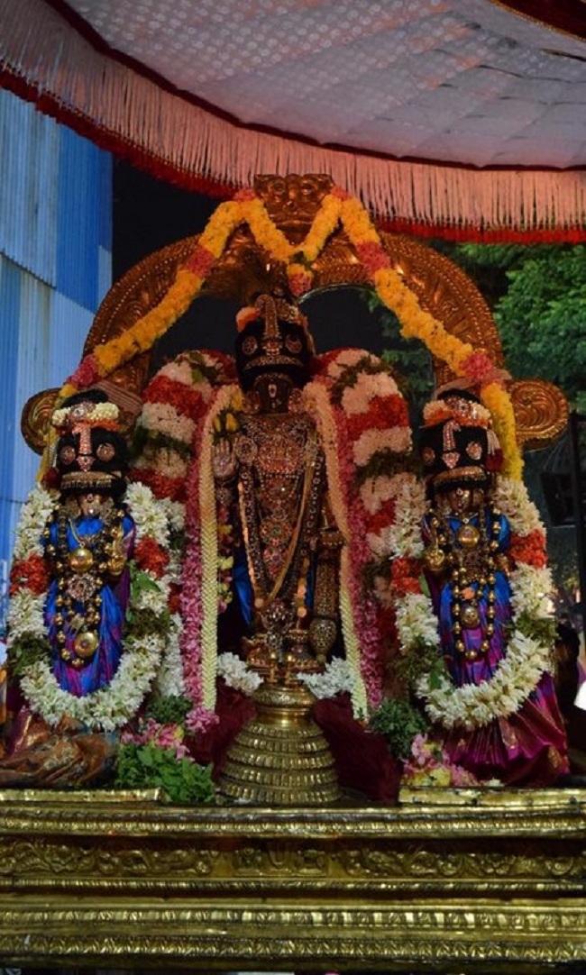 Thiruvallikeni Sri Parthasarathy Perumal Temple Thirupaanazhwar Thirunakshatram And Thirukarthikai Utsavam4