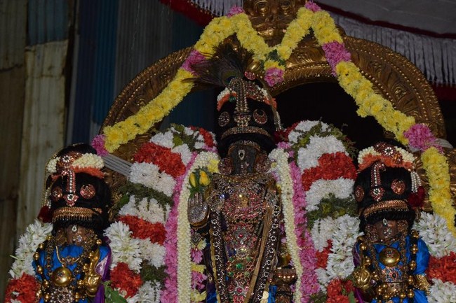 Thiruvallikeni Sri Parthasarathy Perumal Temple Thirupaanazhwar Thirunakshatram And Thirukarthikai Utsavam5