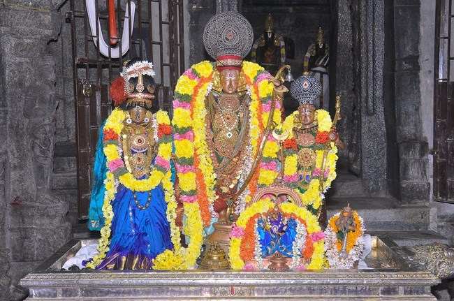 Thiruvallur Sri Veeraraghava Perumal Temple Maha Samprokshanam10