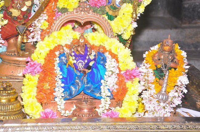 Thiruvallur Sri Veeraraghava Perumal Temple Maha Samprokshanam16