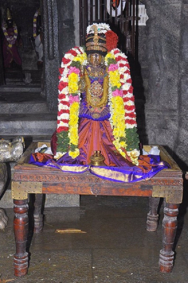 Thiruvallur Sri Veeraraghava Perumal Temple Maha Samprokshanam25