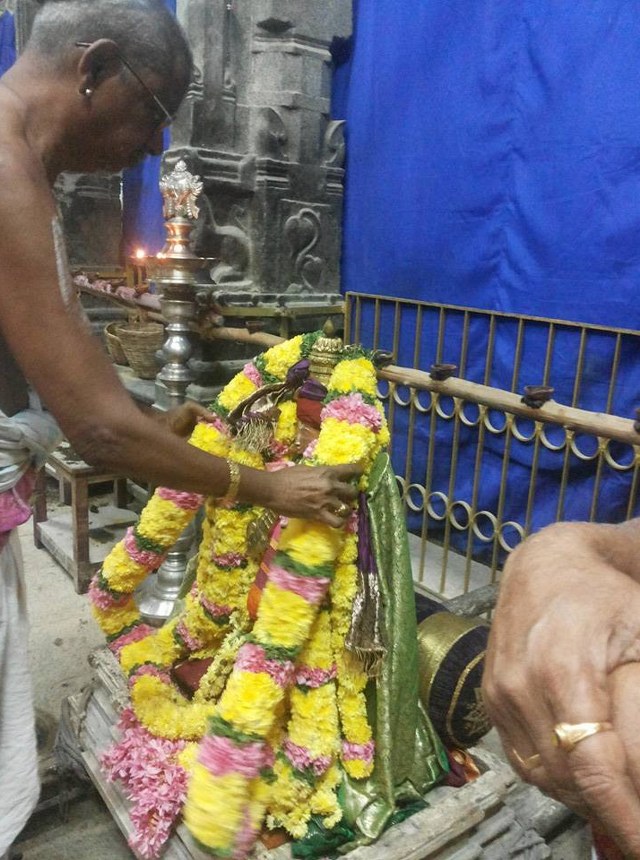 Thiruvallur Sri Veeraraghava Perumal Temple Thirupaanazhwar thirunakshatra Utsavam  -2014-03