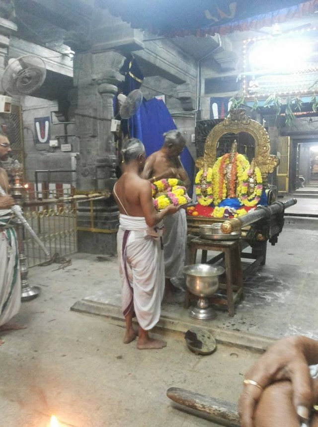 Thiruvallur Sri Veeraraghava Perumal Temple Thirupaanazhwar thirunakshatra Utsavam  -2014-04