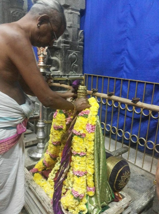 Thiruvallur Sri Veeraraghava Perumal Temple Thirupaanazhwar thirunakshatra Utsavam  -2014-07