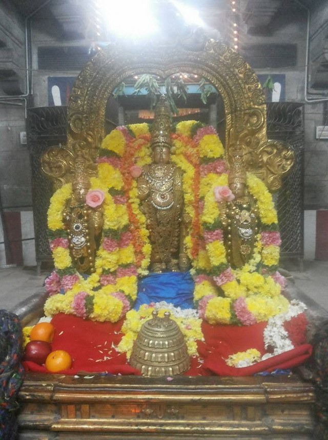 Thiruvallur Sri Veeraraghava Perumal Temple Thirupaanazhwar thirunakshatra Utsavam  -2014-09