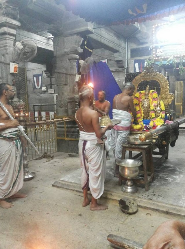 Thiruvallur Sri Veeraraghava Perumal Temple Thirupaanazhwar thirunakshatra Utsavam  -2014-10