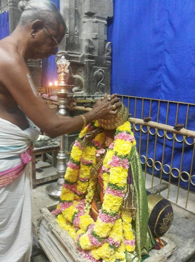 Thiruvallur Sri Veeraraghava Perumal Temple Thirupaanazhwar thirunakshatra Utsavam  -2014-12