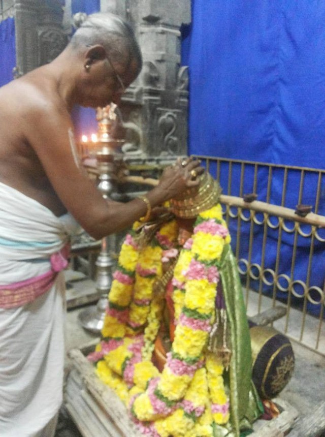 Thiruvallur Sri Veeraraghava Perumal Temple Thirupaanazhwar thirunakshatra Utsavam  -2014-13