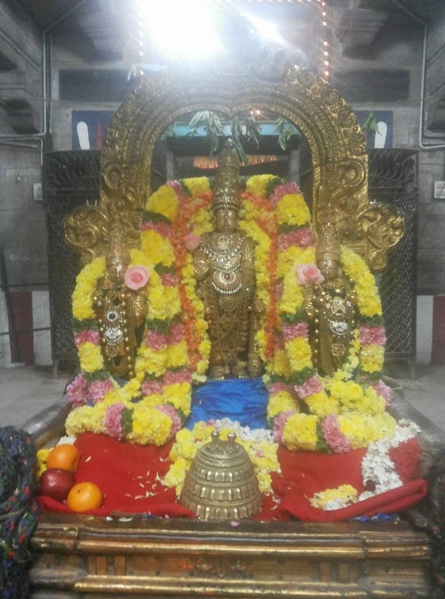 Thiruvallur Sri Veeraraghava Perumal Temple Thirupaanazhwar thirunakshatra Utsavam  -2014-15