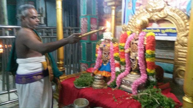 Thiruvinnagar Sri Oppilliappan Venkatachalapathi Temple Thiruadhyayana Utsavam Commences2