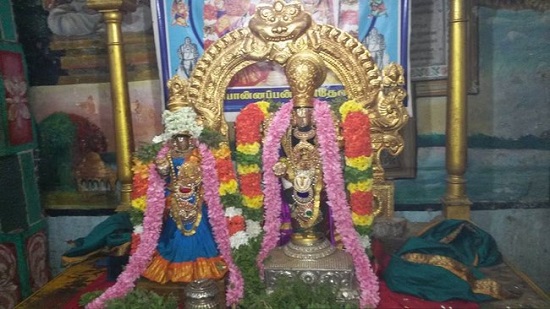 Thiruvinnagar Sri Oppilliappan Venkatachalapathi Temple Thiruadhyayana Utsavam Commences8