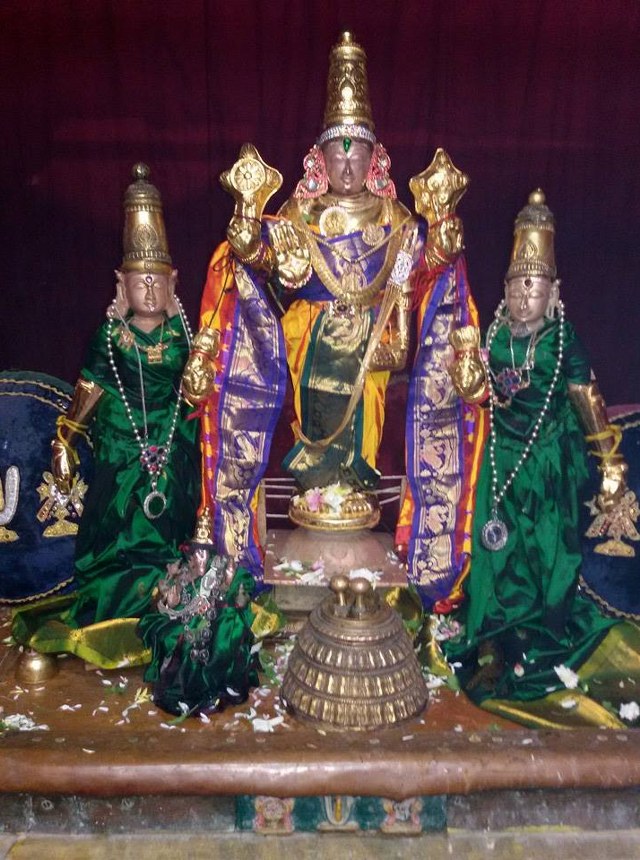 Thoopul Sri Vilakoli Perumal  Margazhi Sravana Purappadu 2014-10