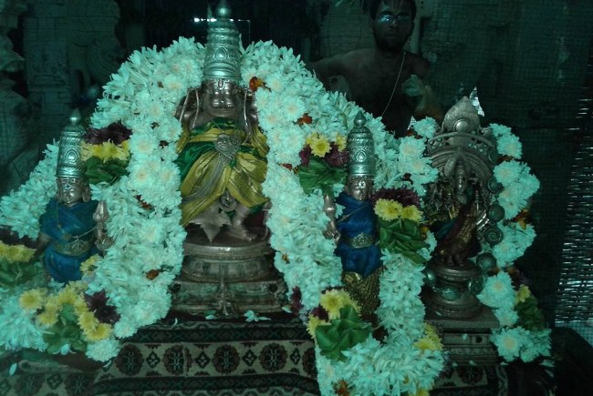 Upper Ahobilam Sri Lakshmi  Narasimha Perumal  Temple Maragazhi Swathi Utsavam -2014-08