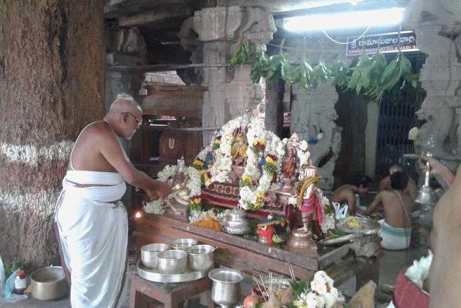 Upper Ahobilam Sri Lakshmi  Narasimha Perumal  Temple Maragazhi Swathi Utsavam -2014-27