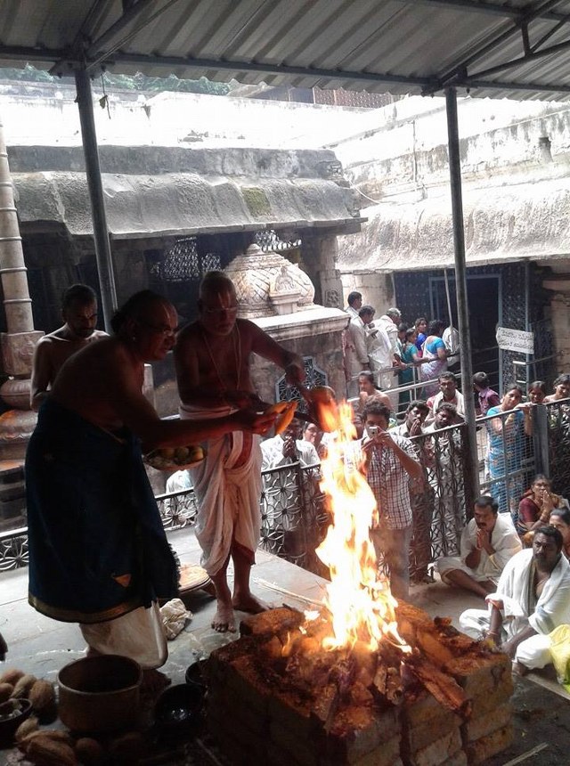 Upper Ahobilam Sri Lakshmi  Narasimha Perumal  Temple Maragazhi Swathi Utsavam -2014-33