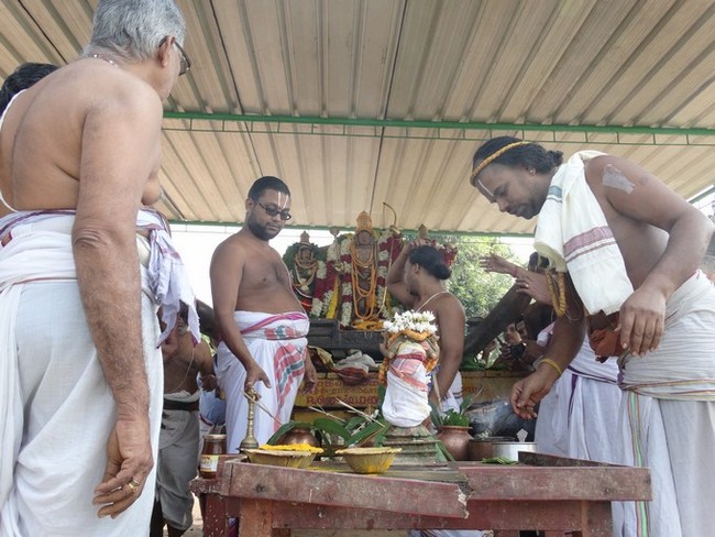 Vaduvur Sri Kothandaramaswamy Temple ThiruPavithrothsavam Satrumurai 26
