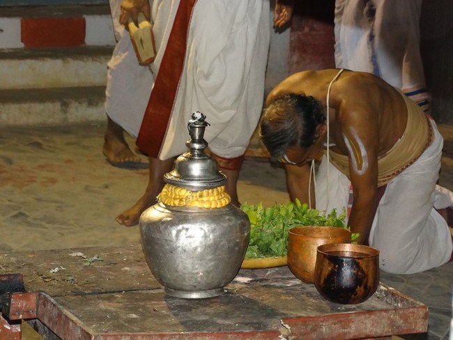 Vaduvur Sri Kothandaramaswamy Temple ThiruPavithrothsavam Satrumurai 5